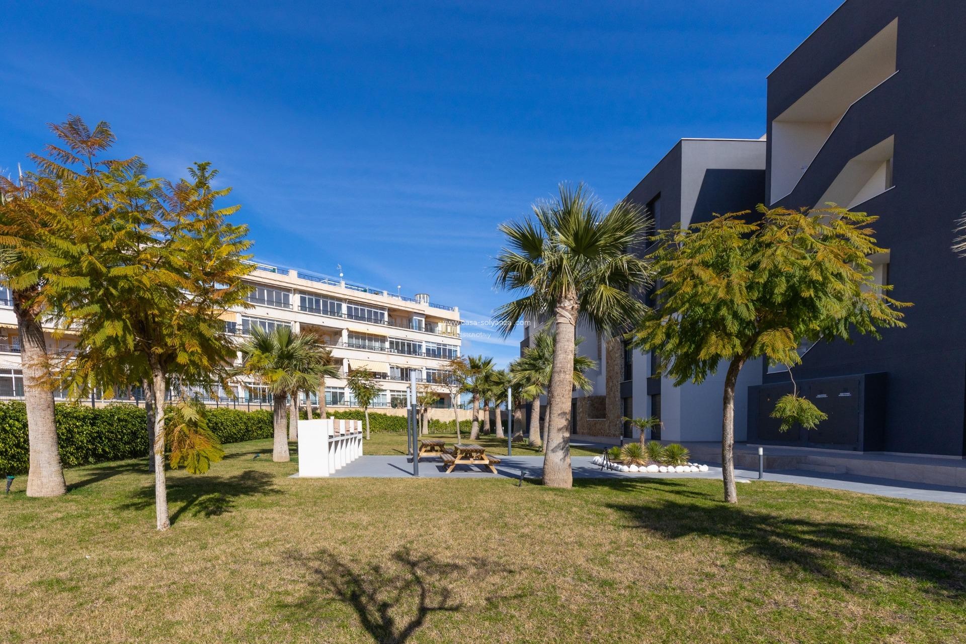 Wiederverkauf - Wohnung - Orihuela Costa - Playa Flamenca