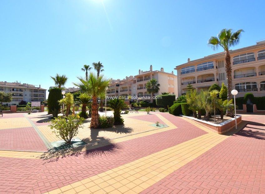 Wiederverkauf - Wohnung - Orihuela Costa - Playa Flamenca