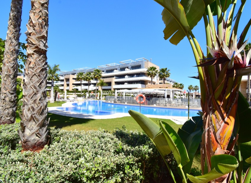 Wiederverkauf - Wohnung - Orihuela Costa - Playa Flamenca