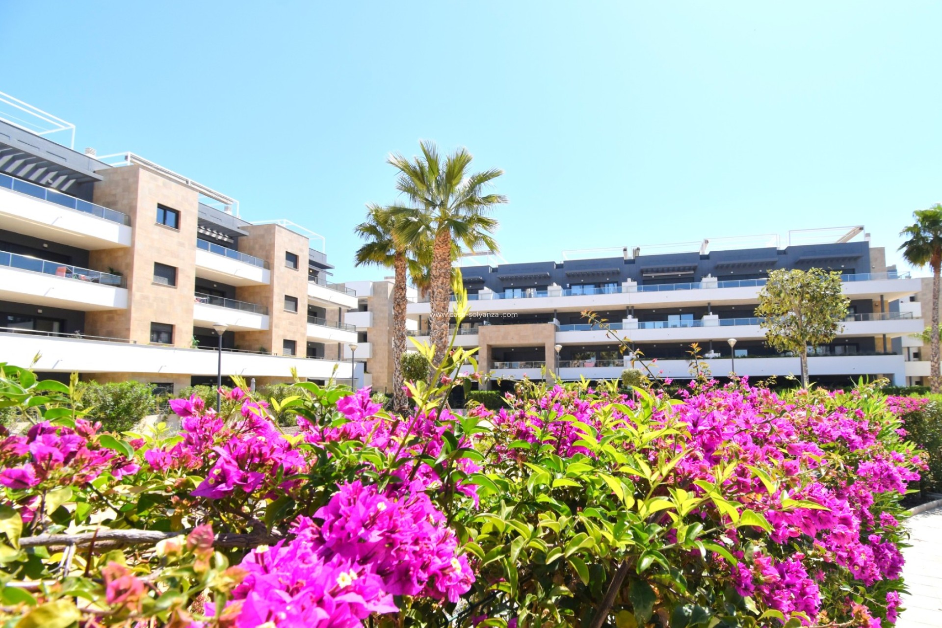 Wiederverkauf - Wohnung - Orihuela Costa - Playa Flamenca