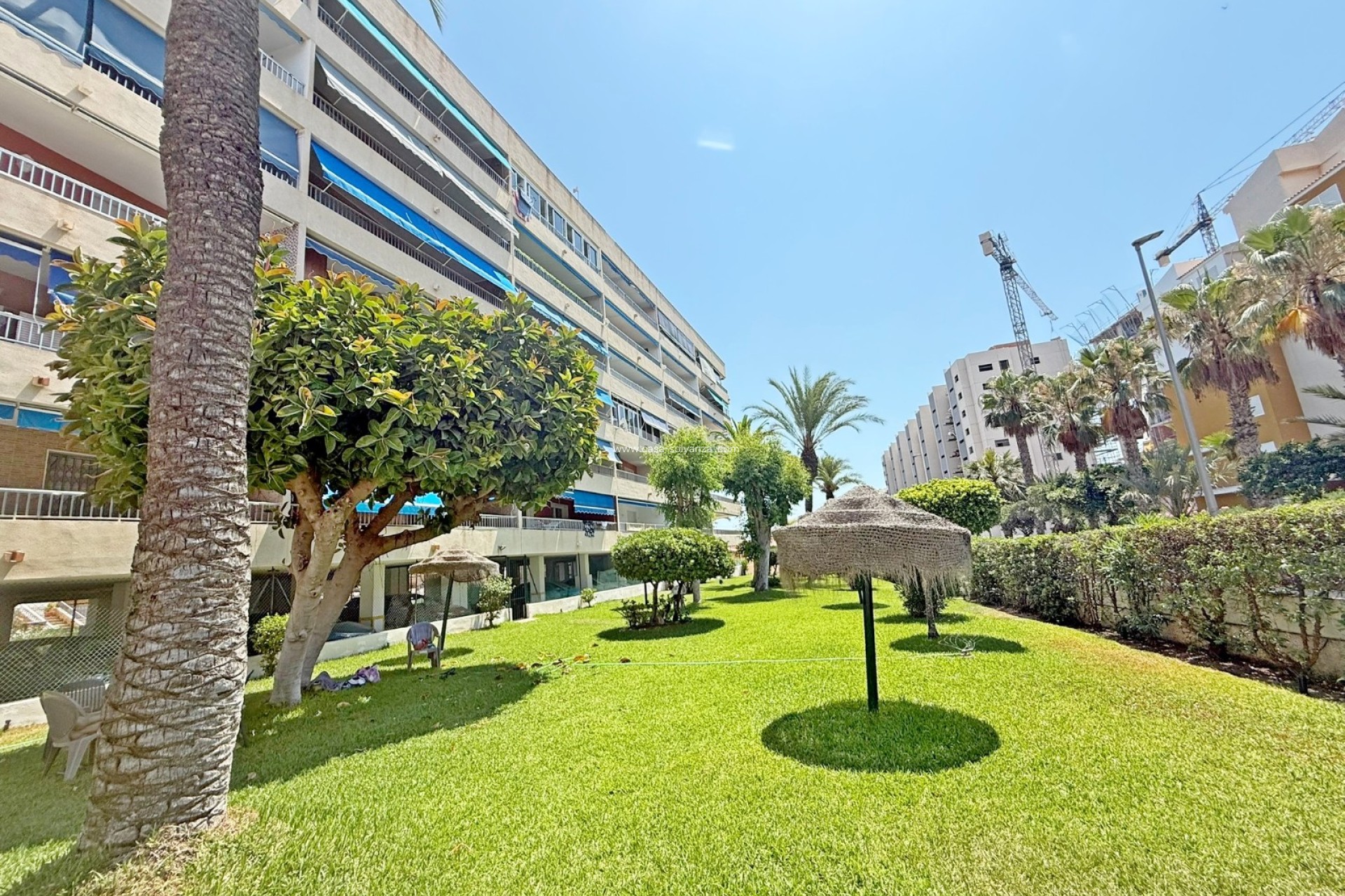 Wiederverkauf - Wohnung - Orihuela Costa - Punta Prima