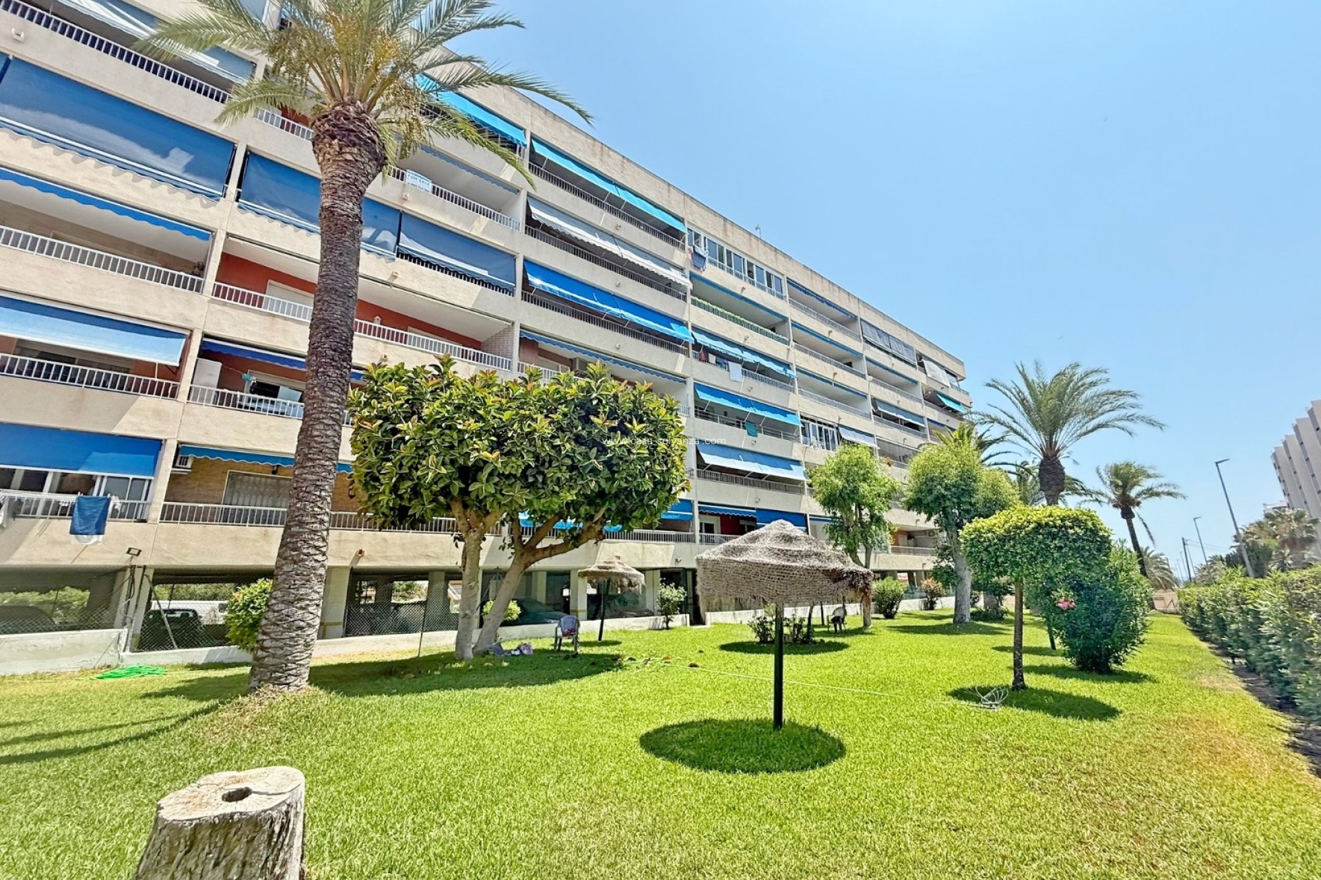 Wiederverkauf - Wohnung - Orihuela Costa - Punta Prima