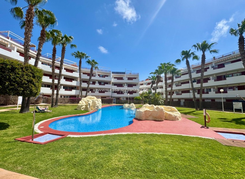 Wiederverkauf - Wohnung - Orihuela Costa - Punta Prima