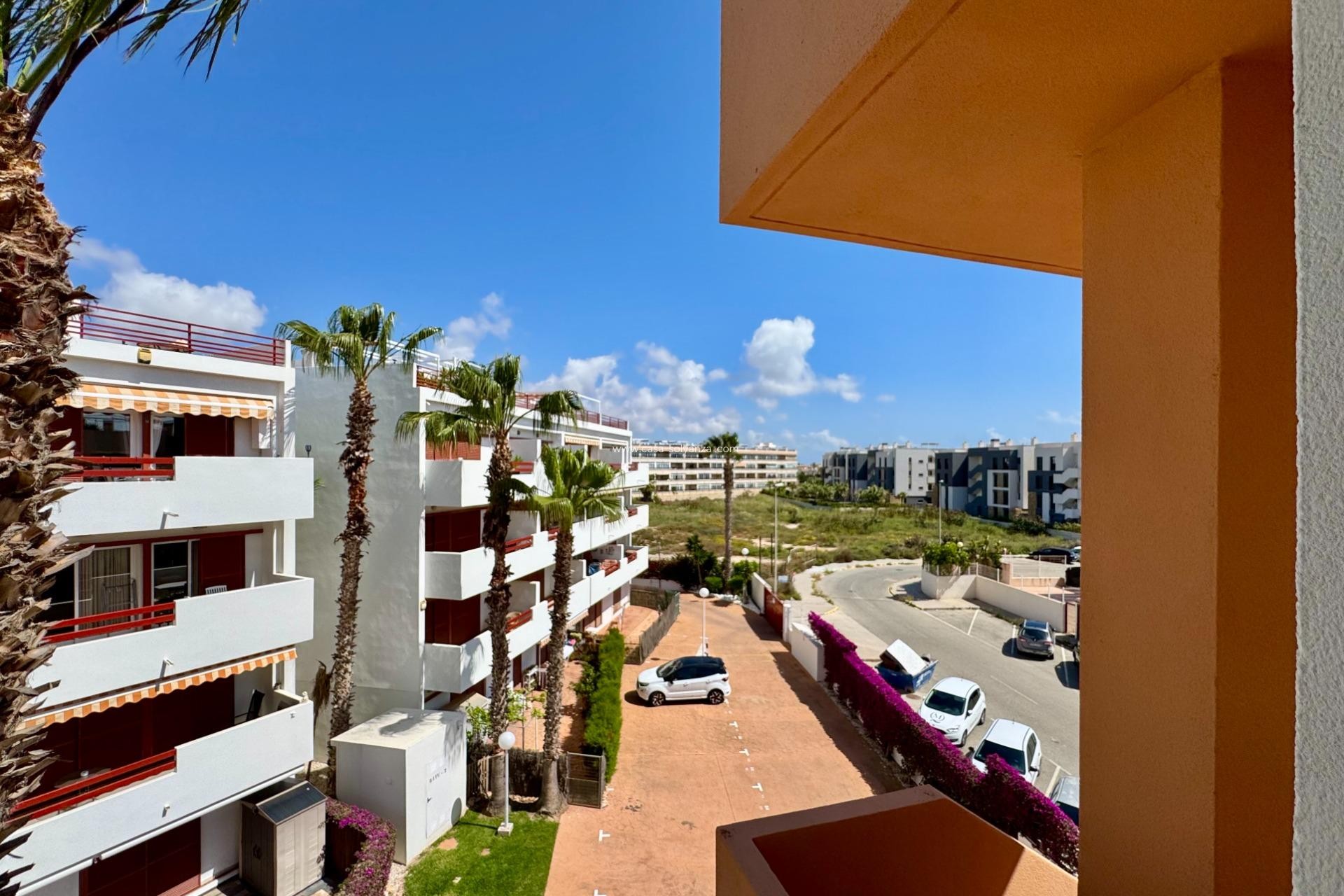 Wiederverkauf - Wohnung - Orihuela Costa - Punta Prima