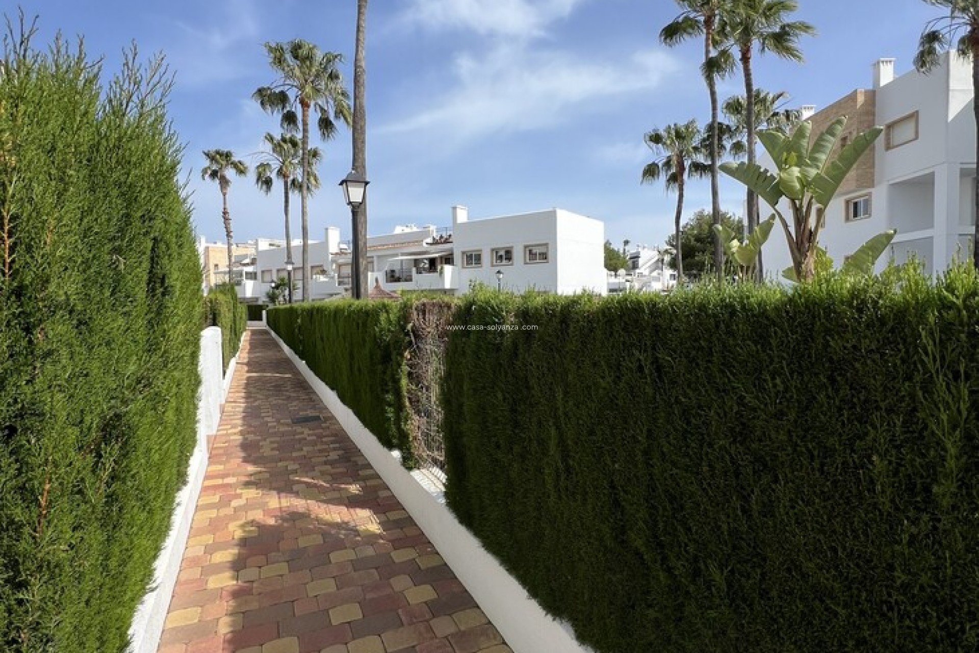 Wiederverkauf - Wohnung - Orihuela Costa - Villamartín
