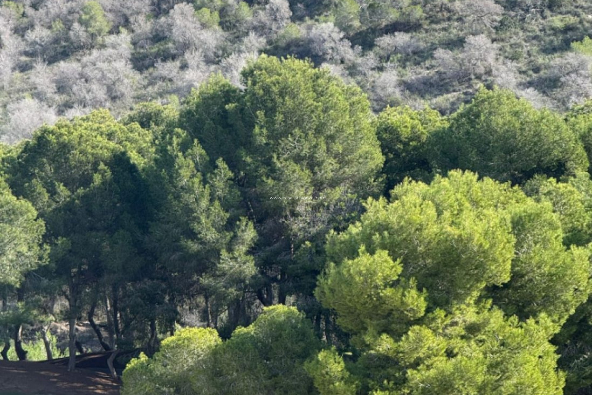 Wiederverkauf - Wohnung - Orihuela - Las Ramblas