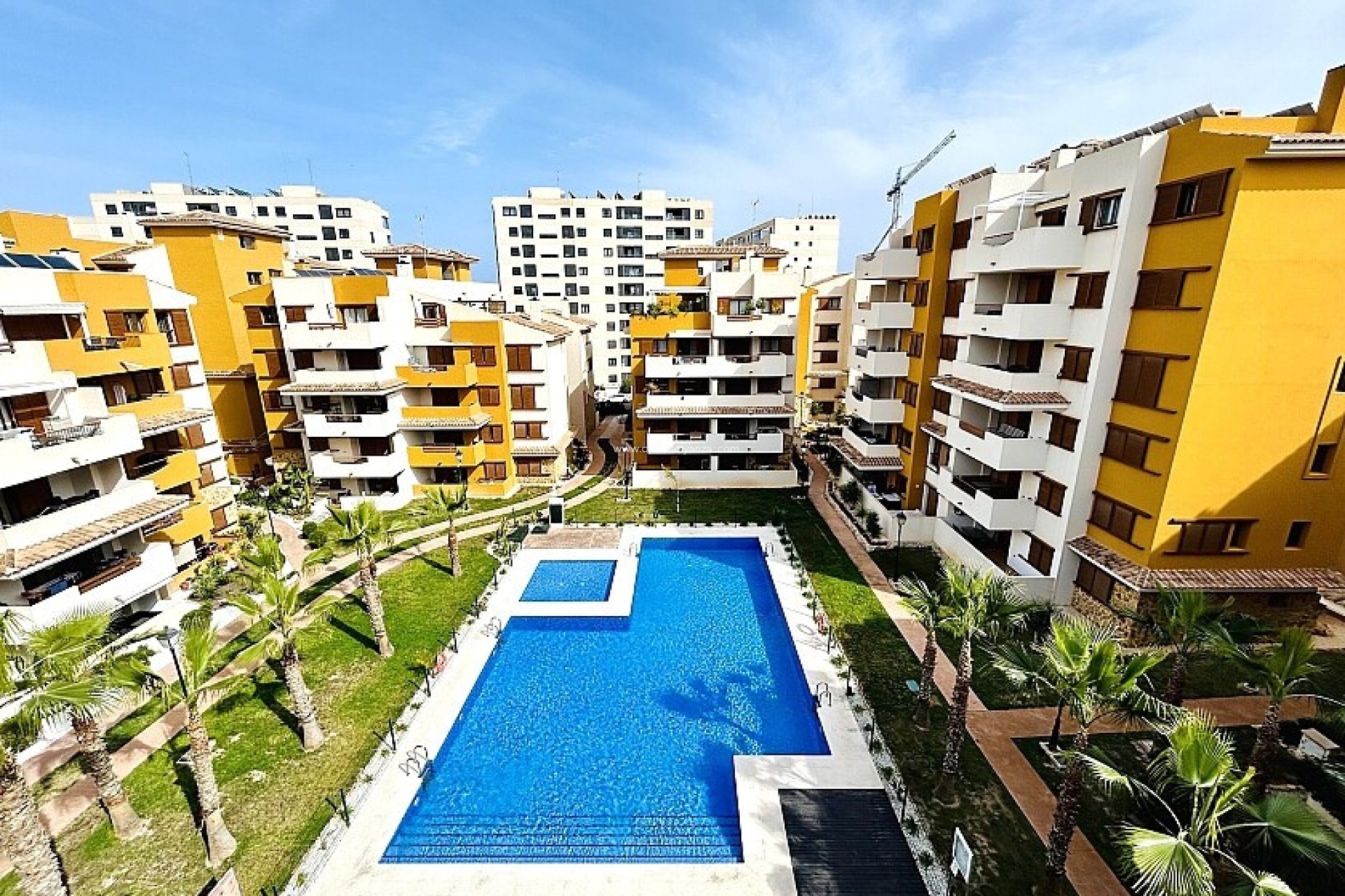 Wiederverkauf - Wohnung - Orihuela - Punta Prima