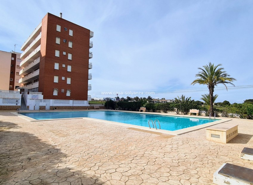 Wiederverkauf - Wohnung - Orihuela - Punta Prima