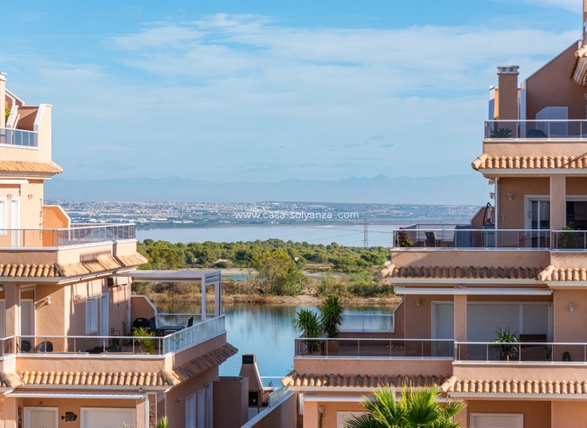Wiederverkauf - Wohnung - Orihuela - Villamartin