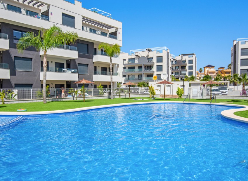 Wiederverkauf - Wohnung - Orihuela - Villamartin
