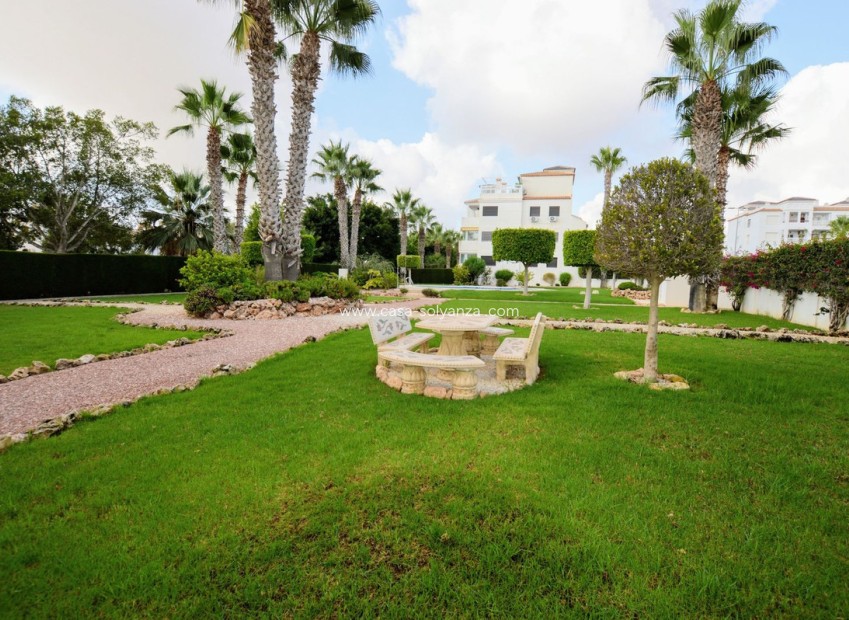 Wiederverkauf - Wohnung - Orihuela - Villamartin