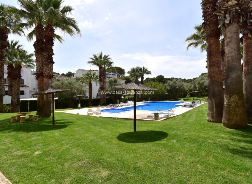 Wiederverkauf - Wohnung - Orihuela - Villamartin