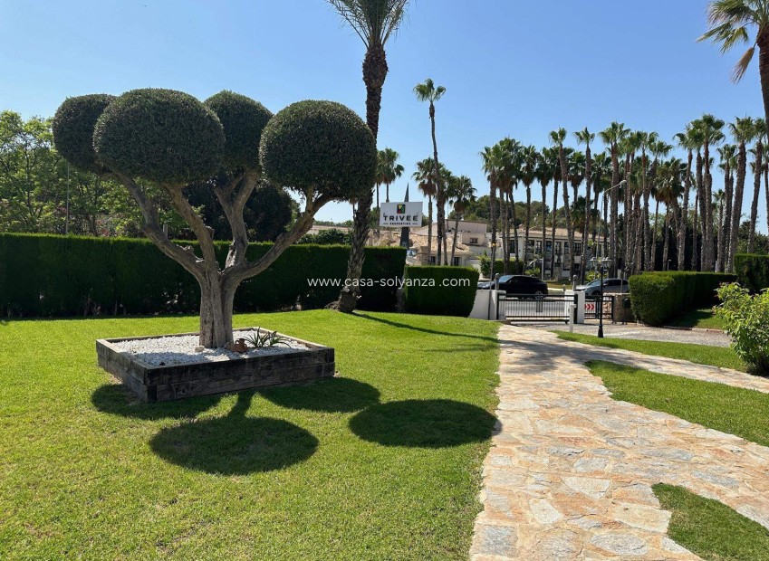Wiederverkauf - Wohnung - Orihuela - Villamartin