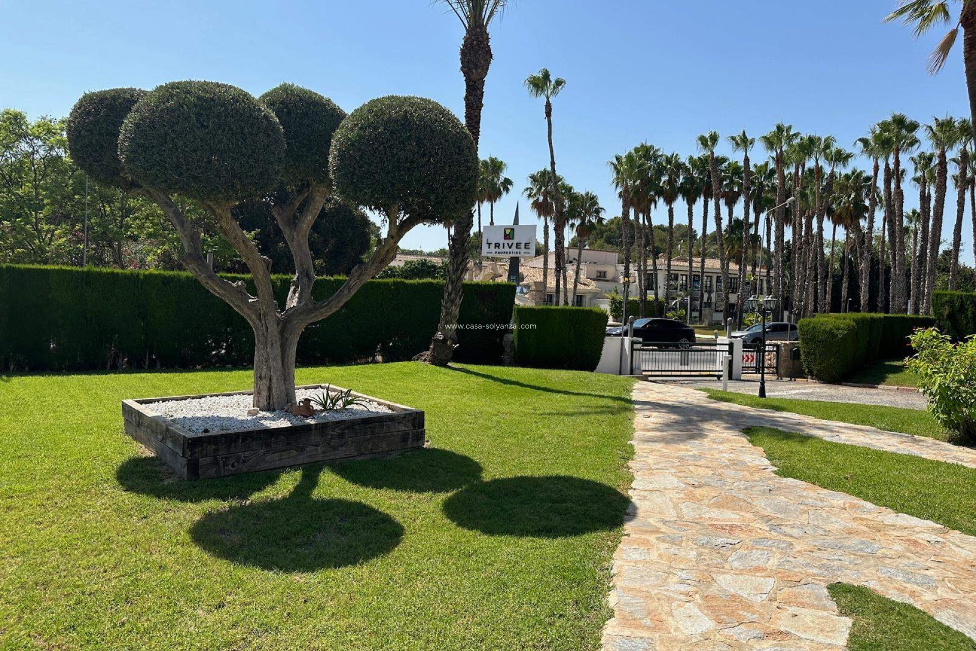 Wiederverkauf - Wohnung - Orihuela - Villamartin