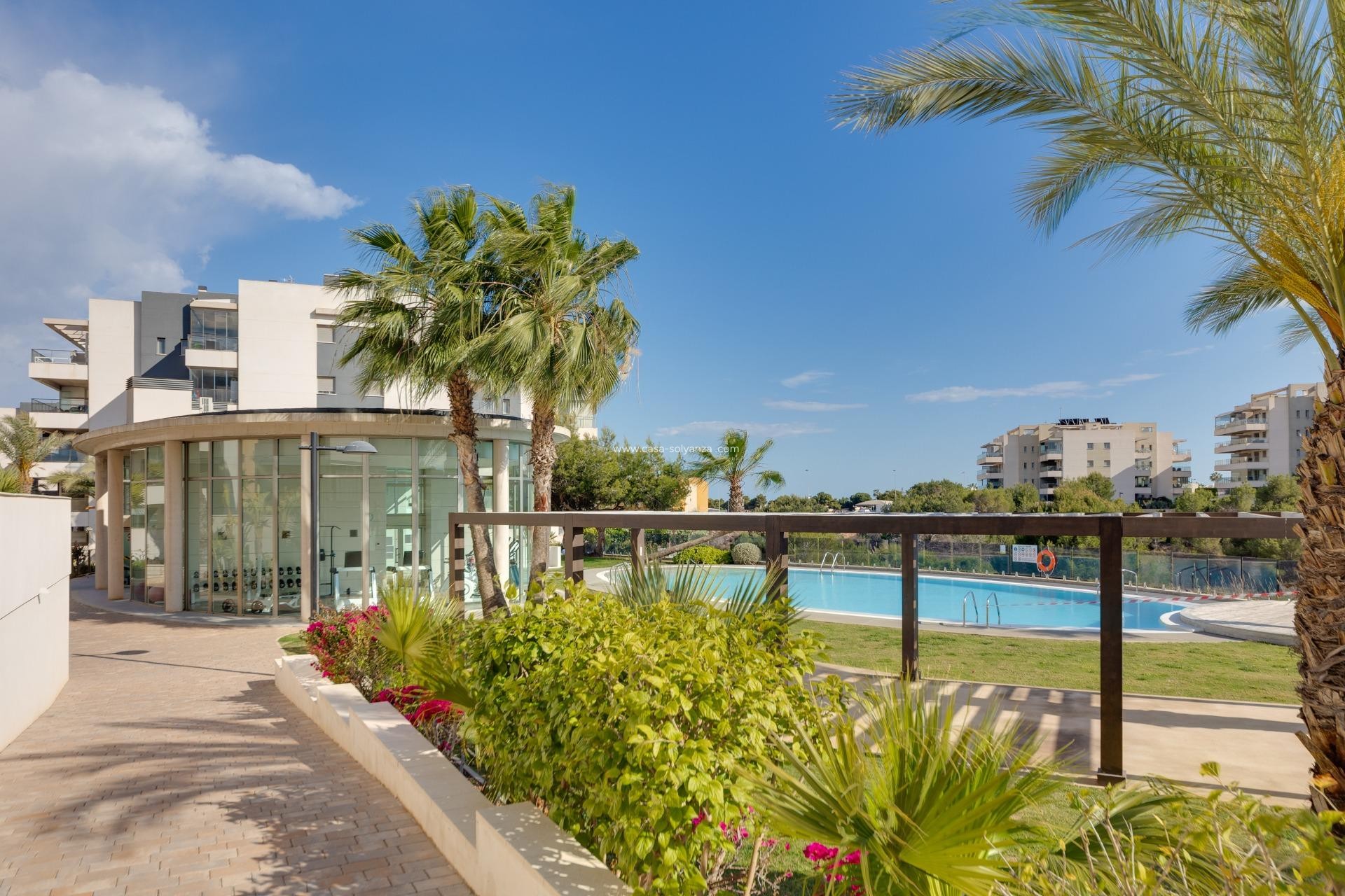 Wiederverkauf - Wohnung - Orihuela - Villamartin