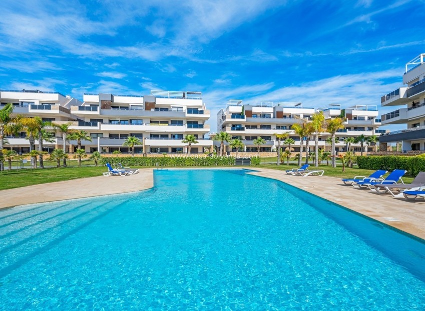 Wiederverkauf - Wohnung - Playa Flamenca - Costa Blanca