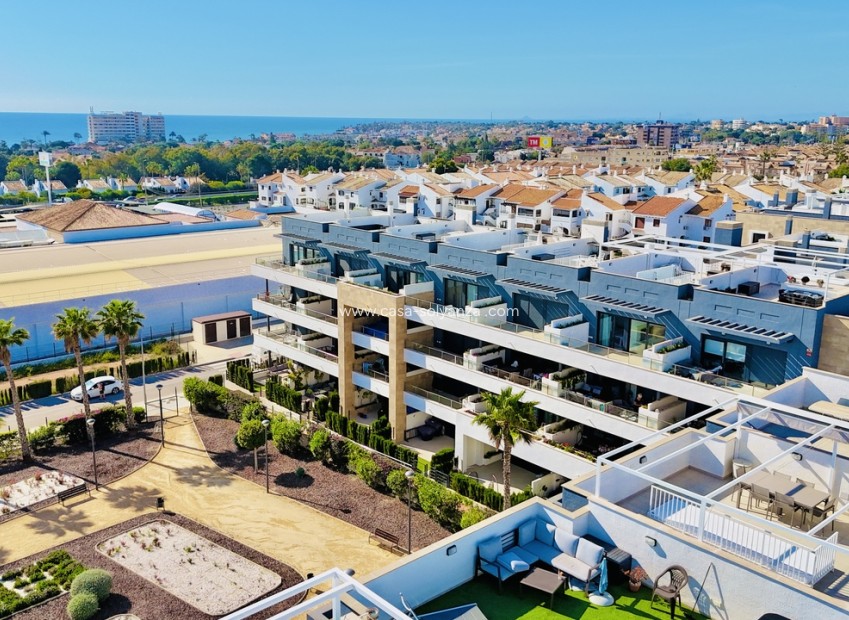 Wiederverkauf - Wohnung - Playa Flamenca - Costa Blanca