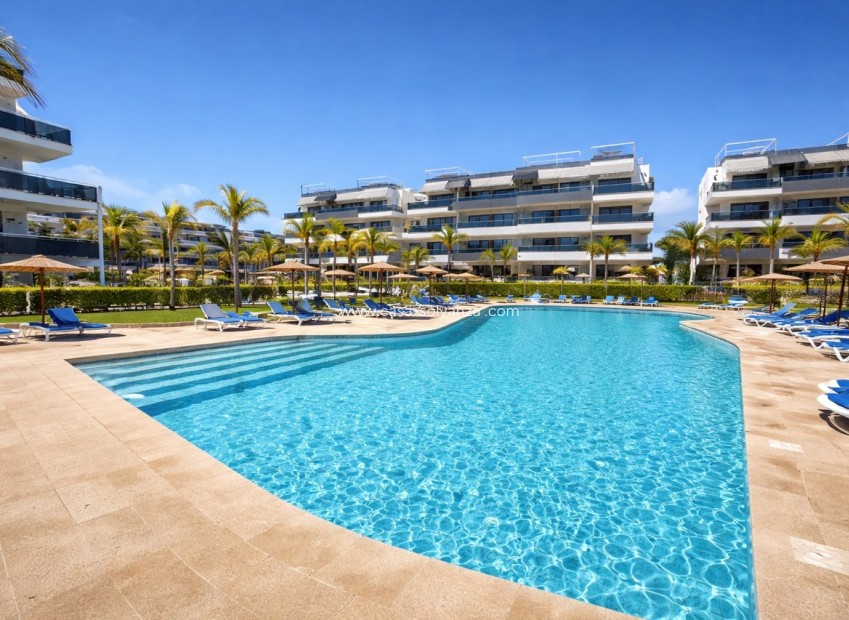 Wiederverkauf - Wohnung - Playa Flamenca - Costa Blanca