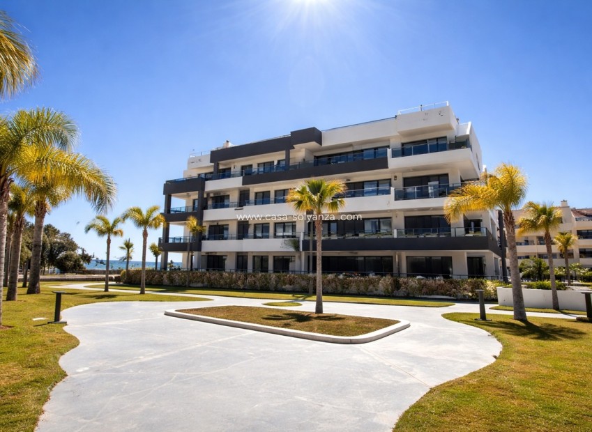Wiederverkauf - Wohnung - Playa Flamenca - Costa Blanca