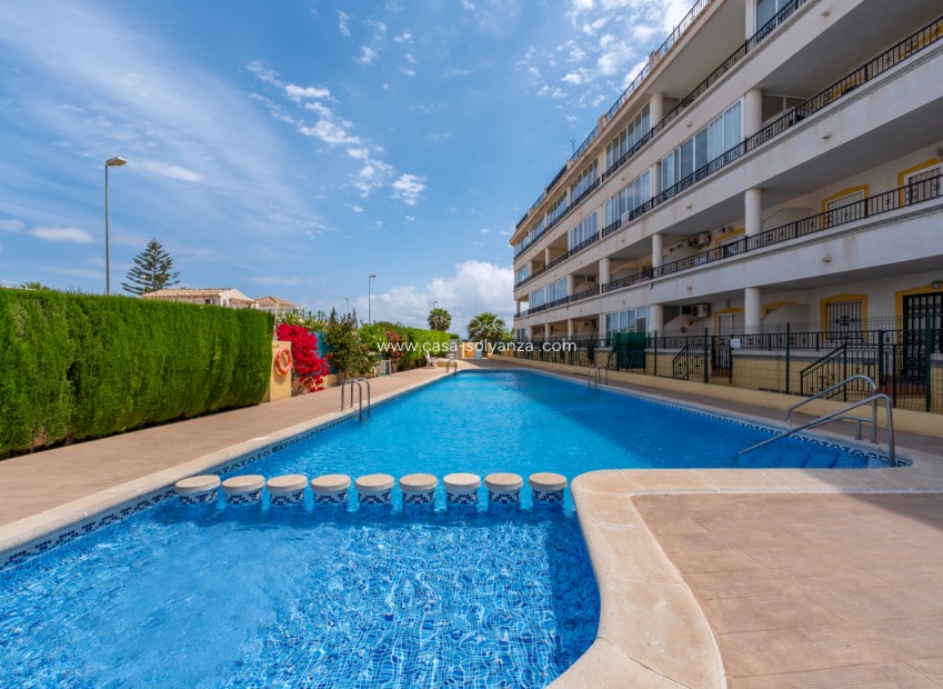 Wiederverkauf - Wohnung - Playa Flamenca - Costa Blanca