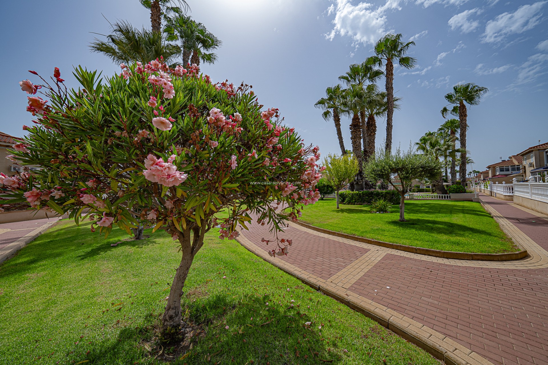 Wiederverkauf - Wohnung - Playa Flamenca - Zenia Mar