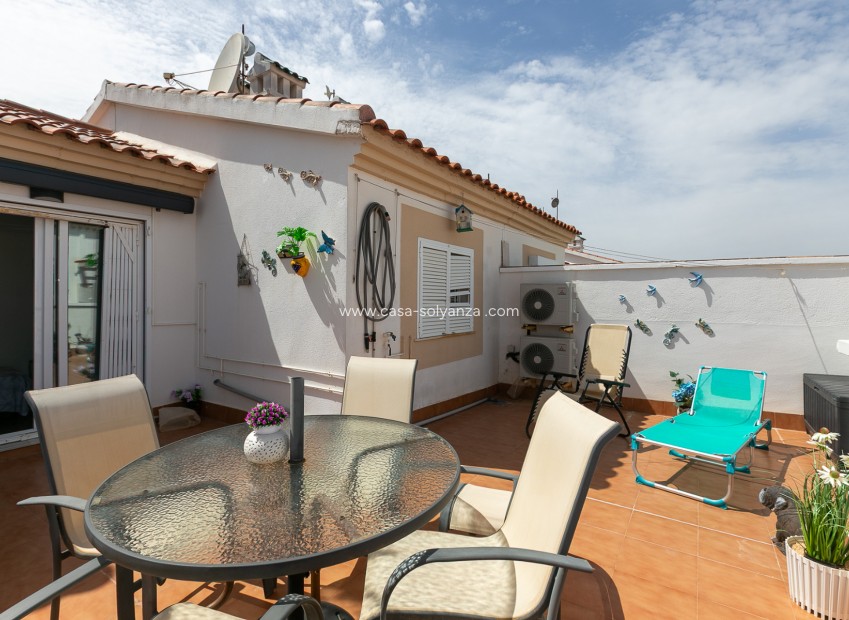 Wiederverkauf - Wohnung - Playa Flamenca - Zenia Mar