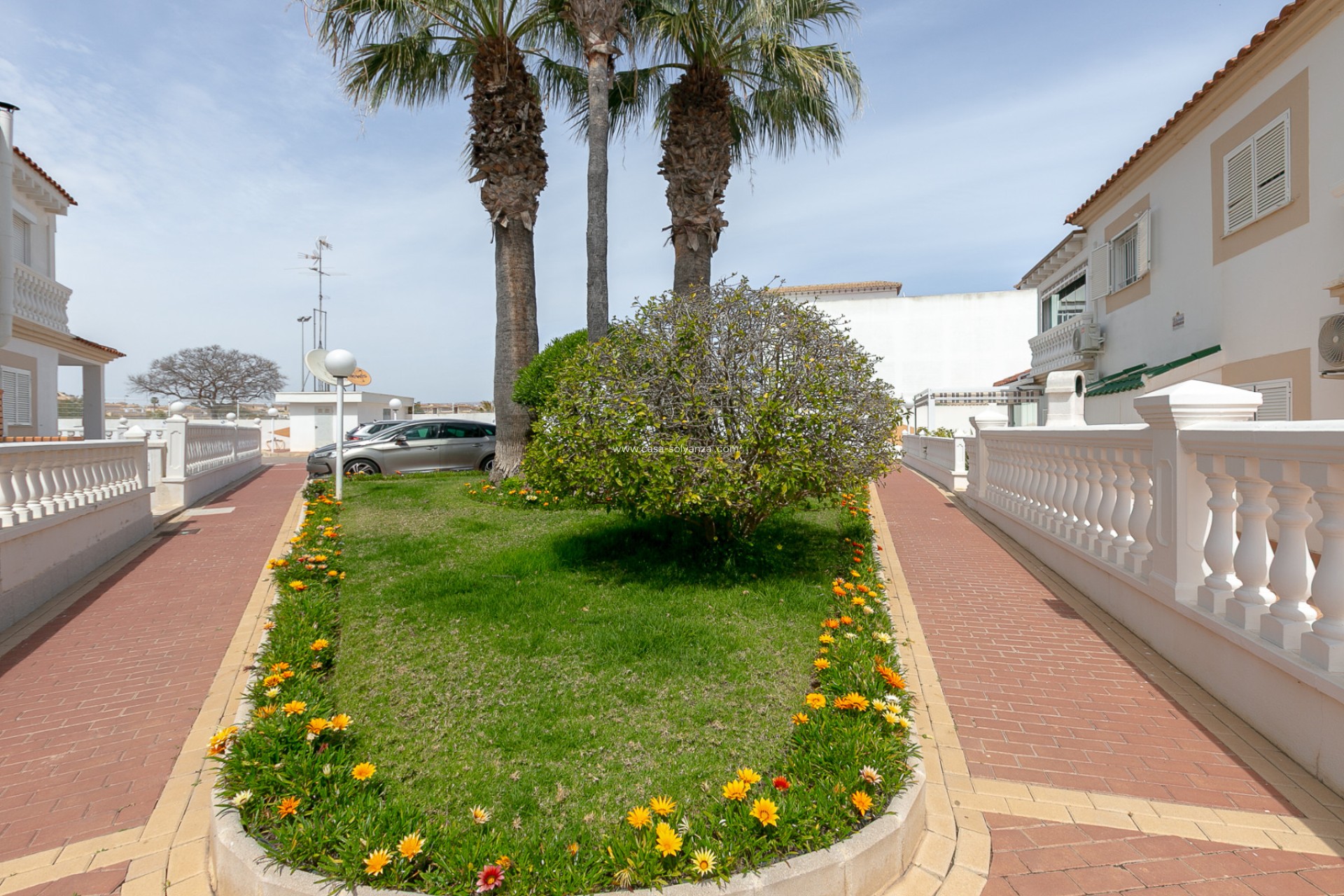 Wiederverkauf - Wohnung - Playa Flamenca - Zenia Mar
