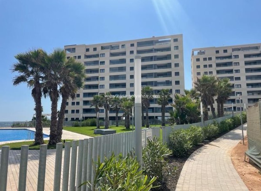 Wiederverkauf - Wohnung - Punta Prima - Costa Blanca