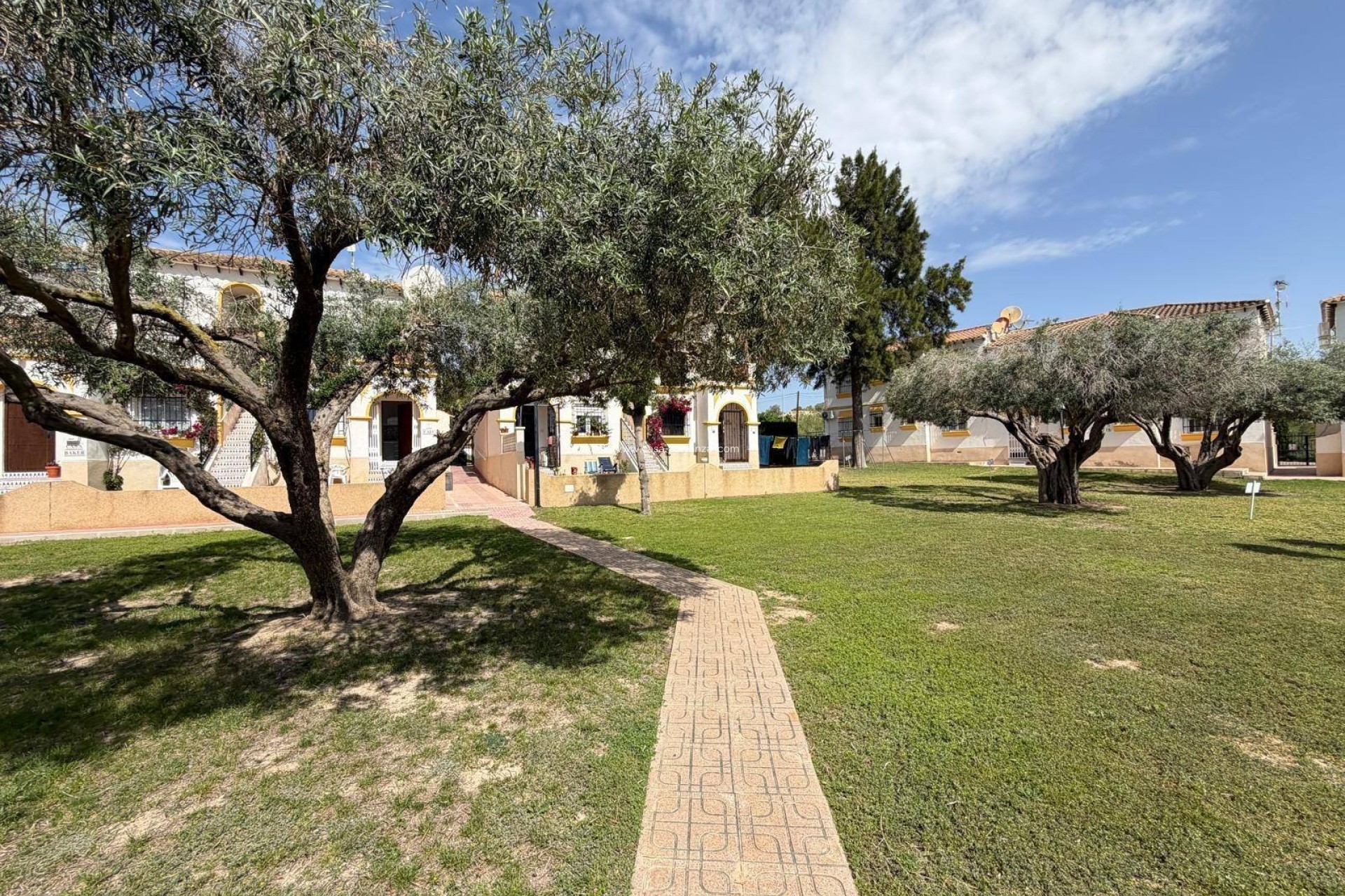 Wiederverkauf - Wohnung - San Miguel de Salinas - Blue Lagoon