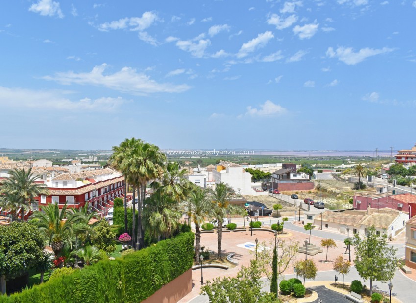 Wiederverkauf - Wohnung - San Miguel de Salinas - Inland