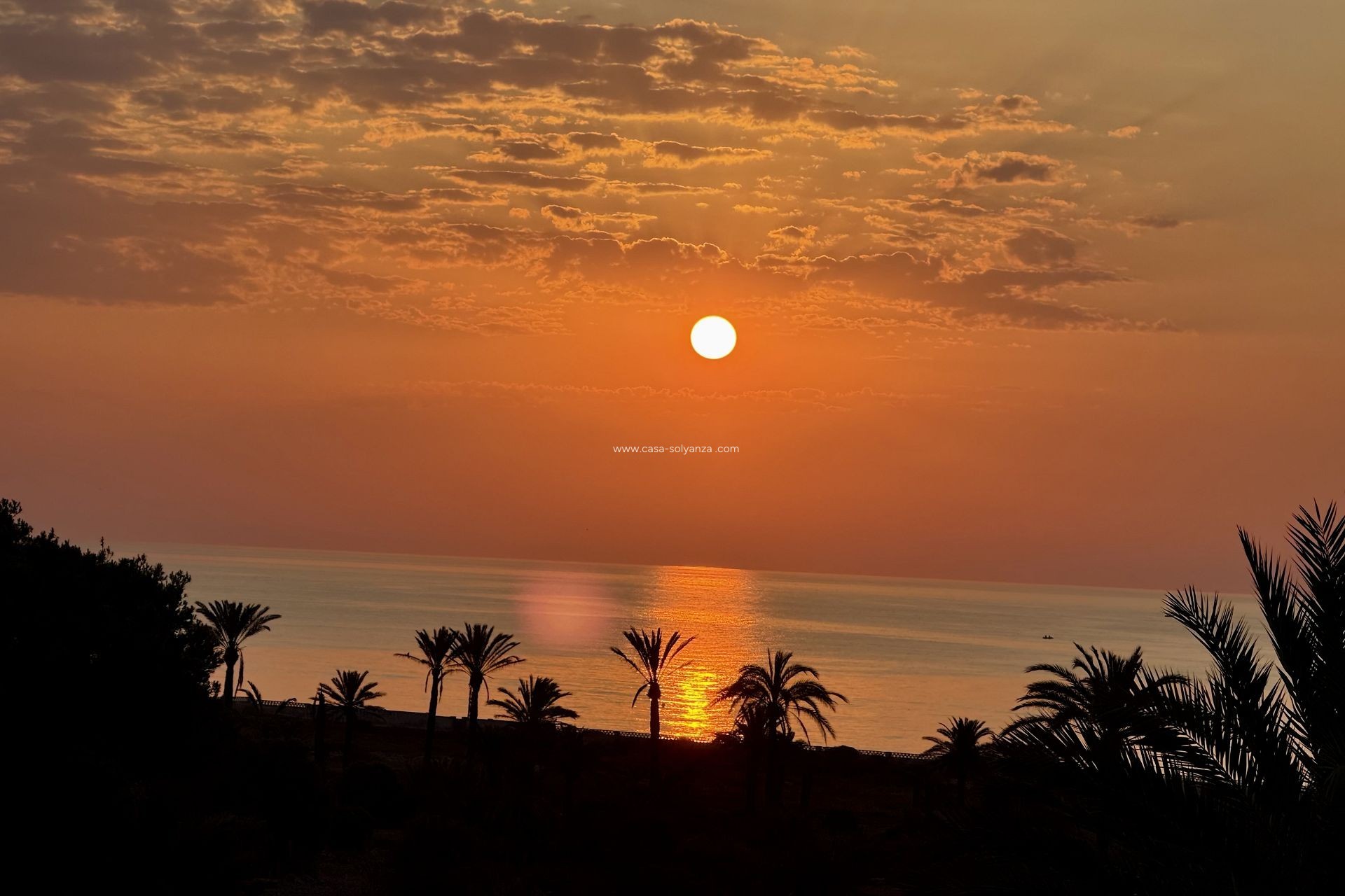 Wiederverkauf - Wohnung - San Miguel de Salinas - Inland