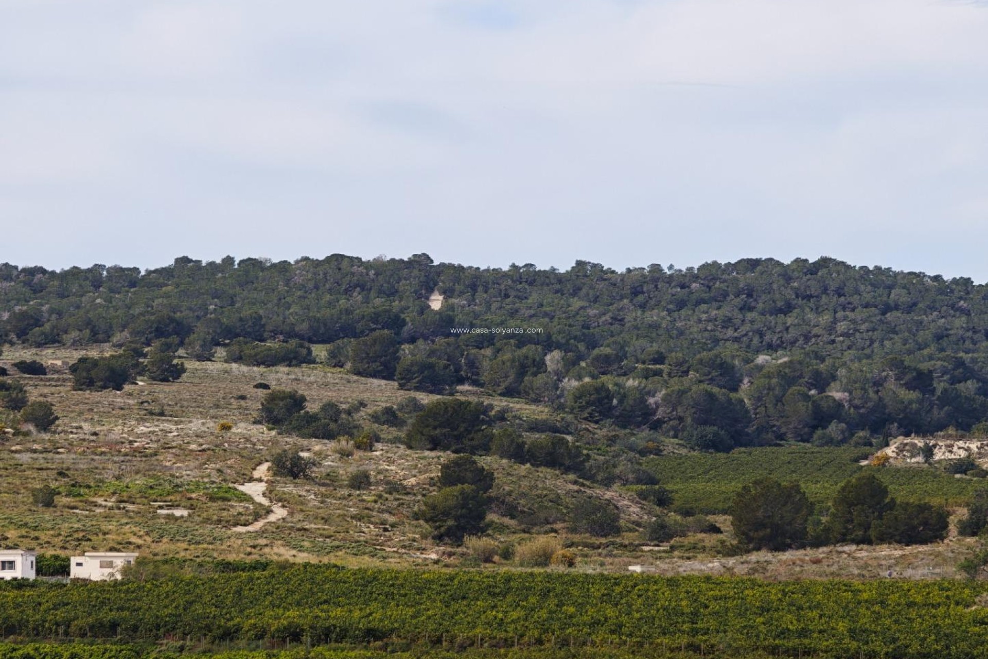 Wiederverkauf - Wohnung - San Miguel de Salinas - Pueblo 9