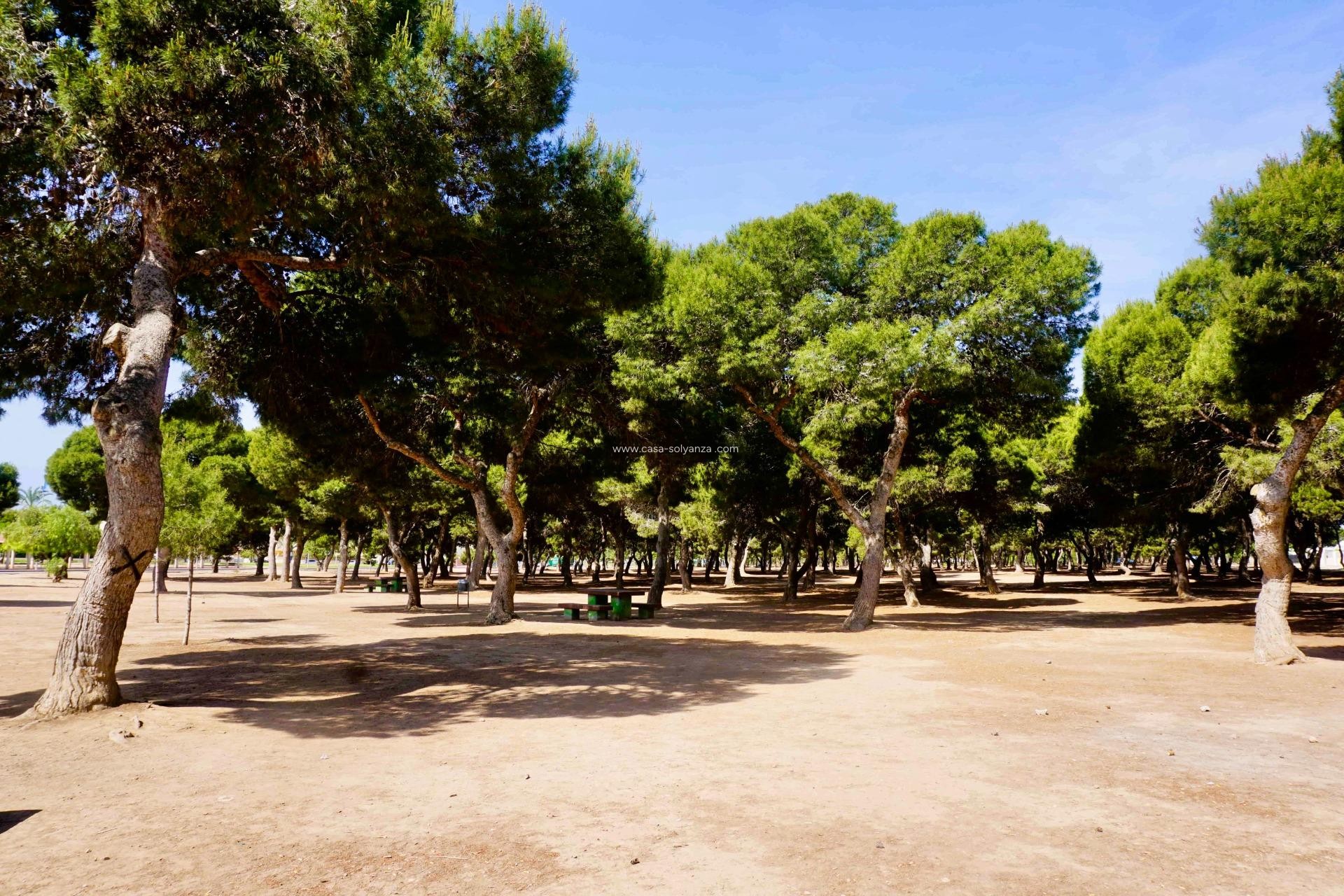 Wiederverkauf - Wohnung - Santiago de la Ribera