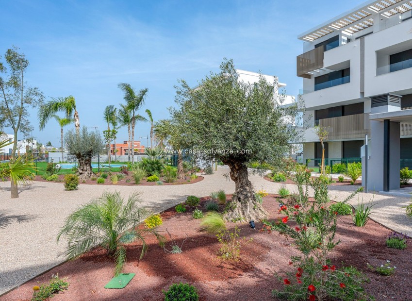 Wiederverkauf - Wohnung - Torre Pacheco - Santa Rosalia Lake and Life Resort