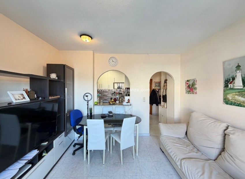 Wiederverkauf - Wohnung - Torrevieja - Acequion
