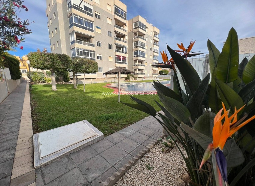 Wiederverkauf - Wohnung - Torrevieja - Aguas nuevas