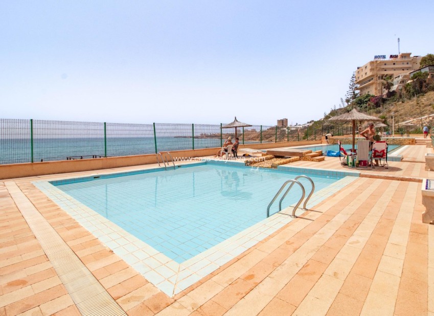 Wiederverkauf - Wohnung - Torrevieja - Cabo cervera