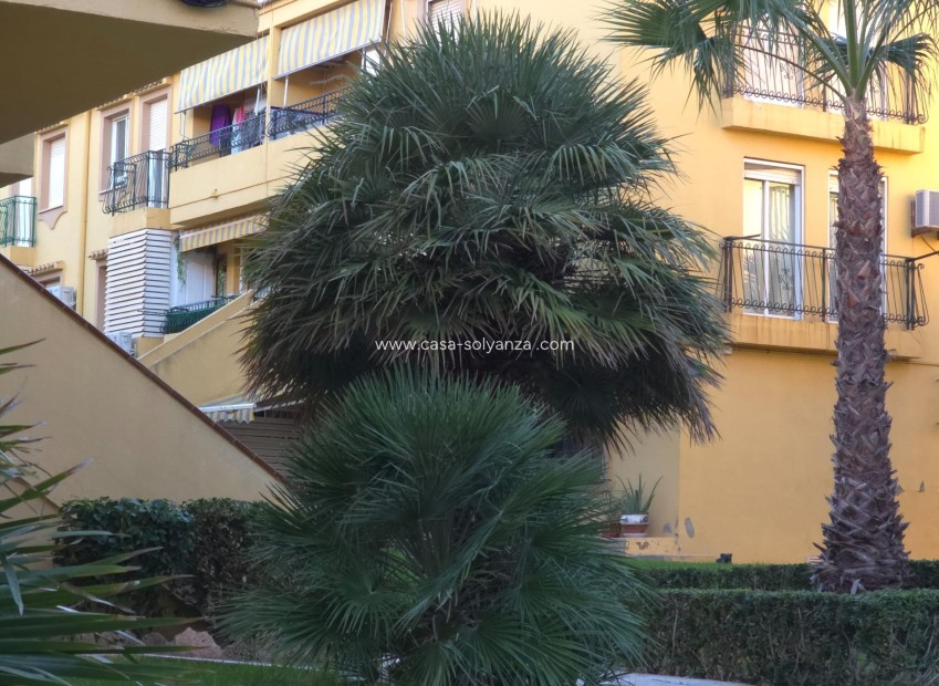 Wiederverkauf - Wohnung - Torrevieja - Cala Ferris