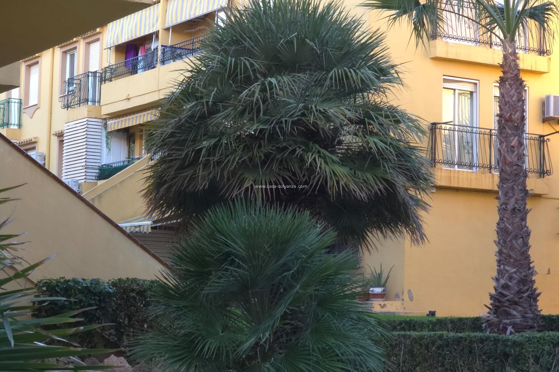 Wiederverkauf - Wohnung - Torrevieja - Cala Ferris