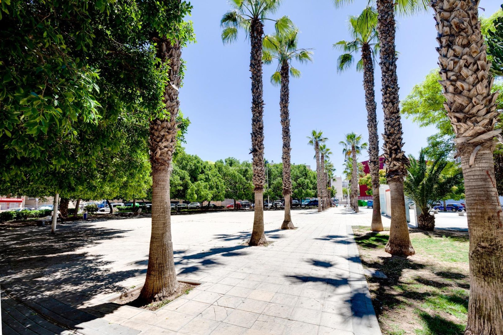 Wiederverkauf - Wohnung - Torrevieja - Calas Blanca