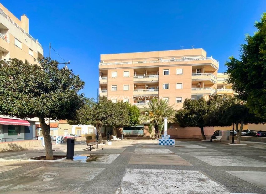Wiederverkauf - Wohnung - Torrevieja - Center