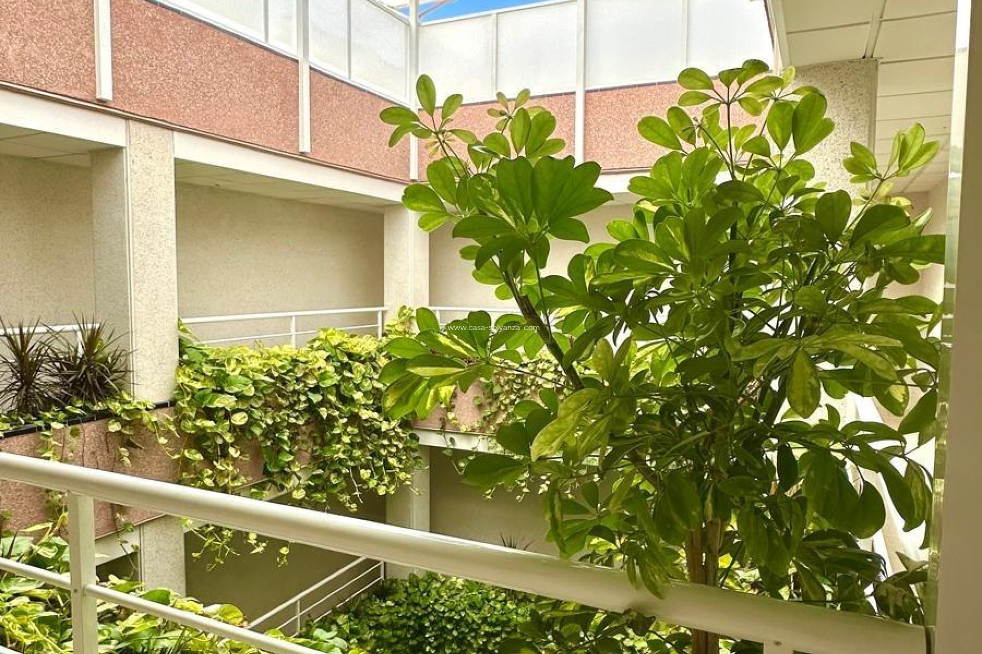 Wiederverkauf - Wohnung - Torrevieja - Center