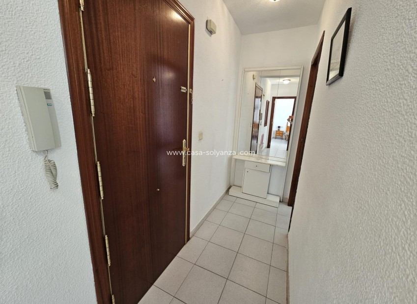 Wiederverkauf - Wohnung - Torrevieja - Center