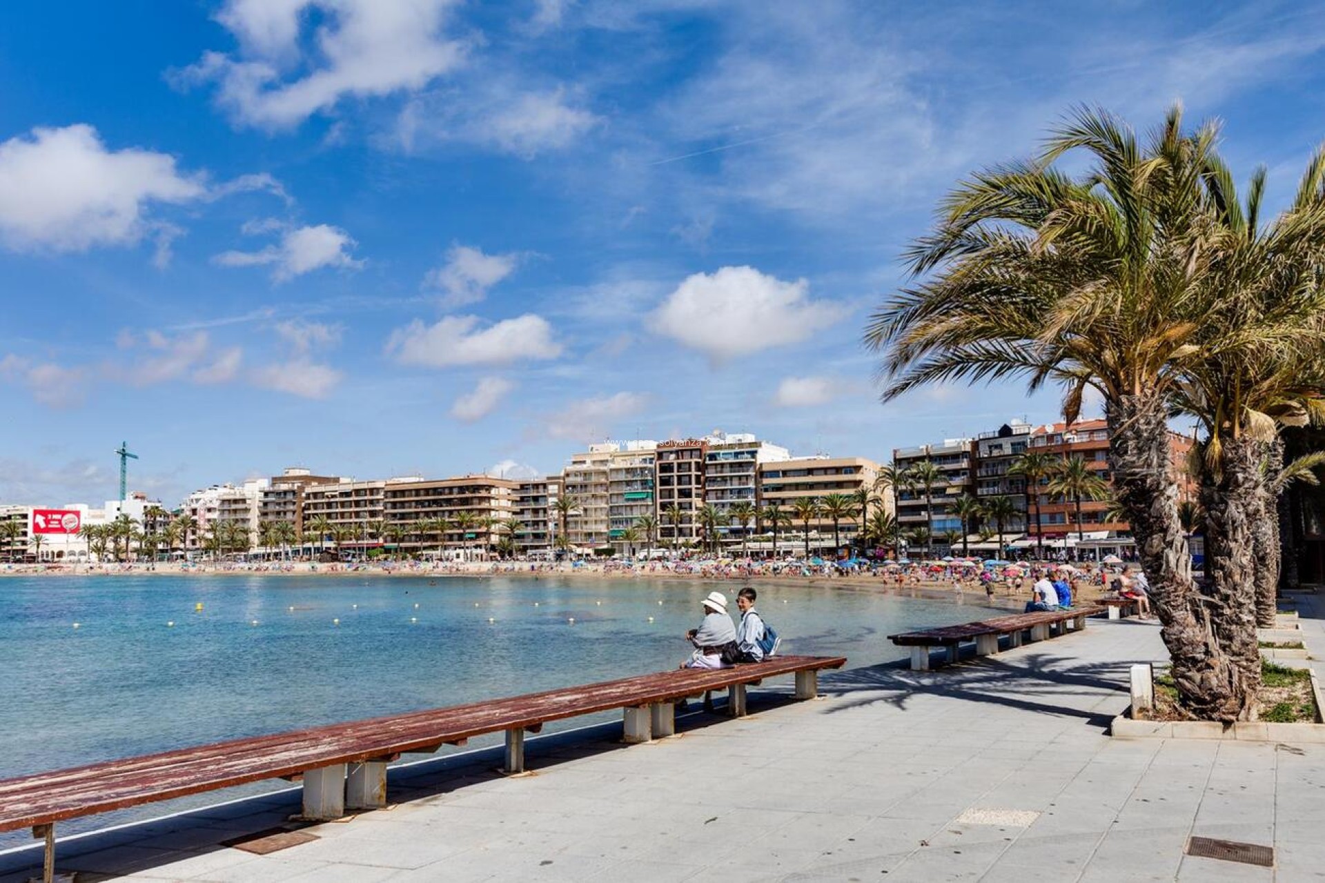 Wiederverkauf - Wohnung - Torrevieja - Center