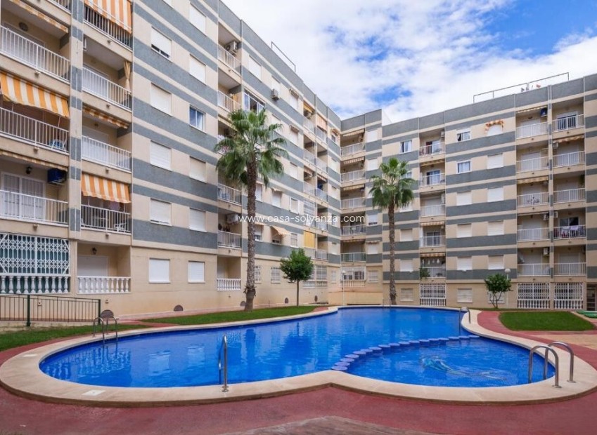 Wiederverkauf - Wohnung - Torrevieja - Center