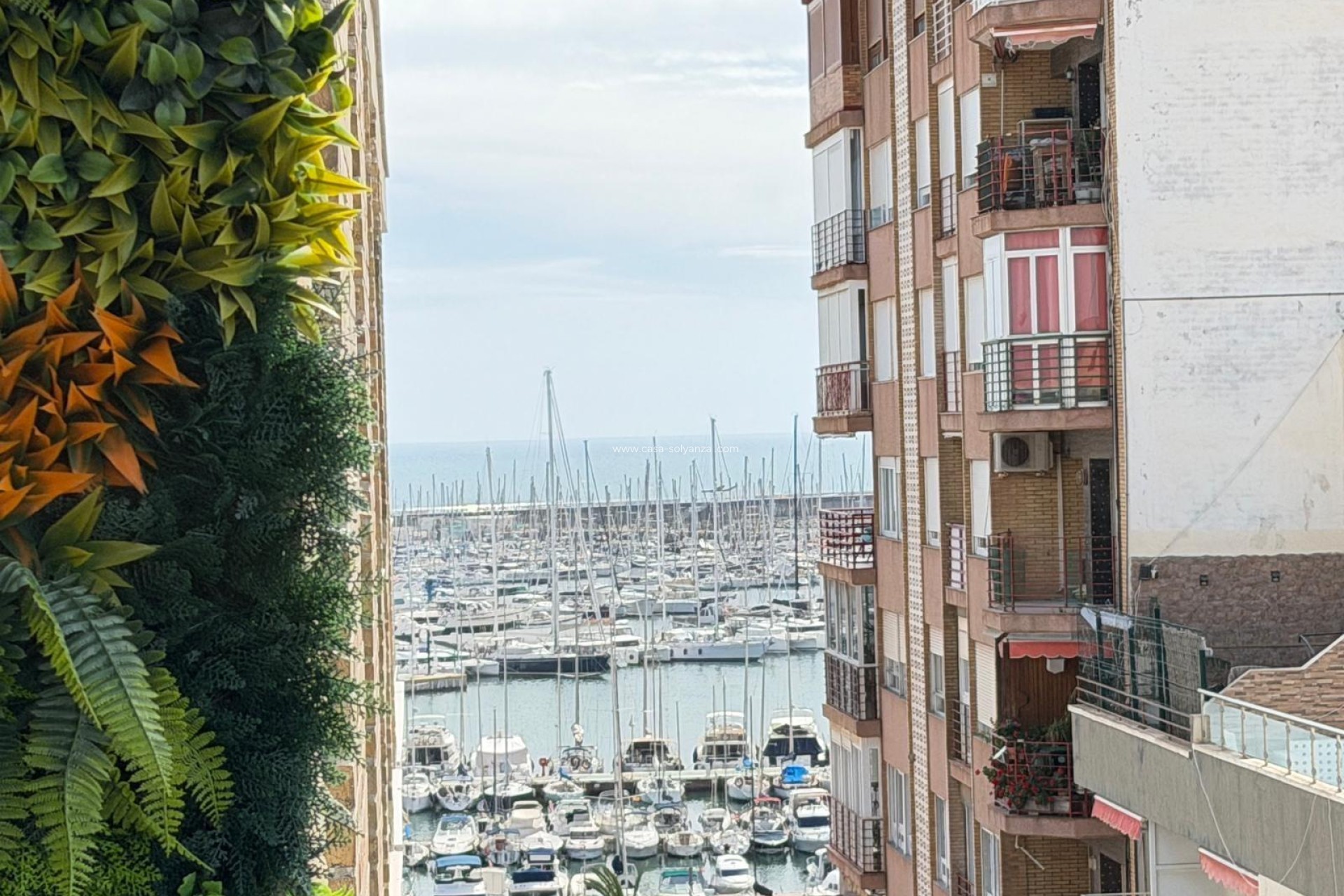 Wiederverkauf - Wohnung - Torrevieja - Center