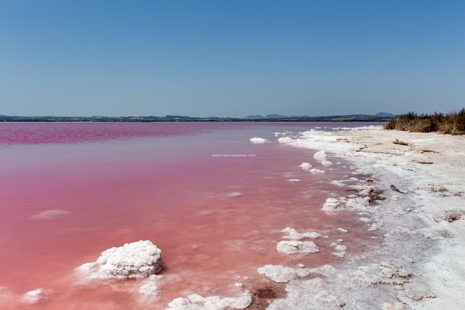 Wiederverkauf - Wohnung - Torrevieja - Centro - Muelle Pesquero