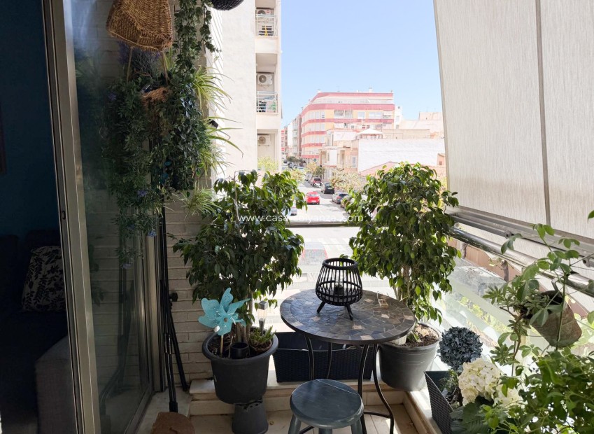 Wiederverkauf - Wohnung - Torrevieja - Costa Blanca