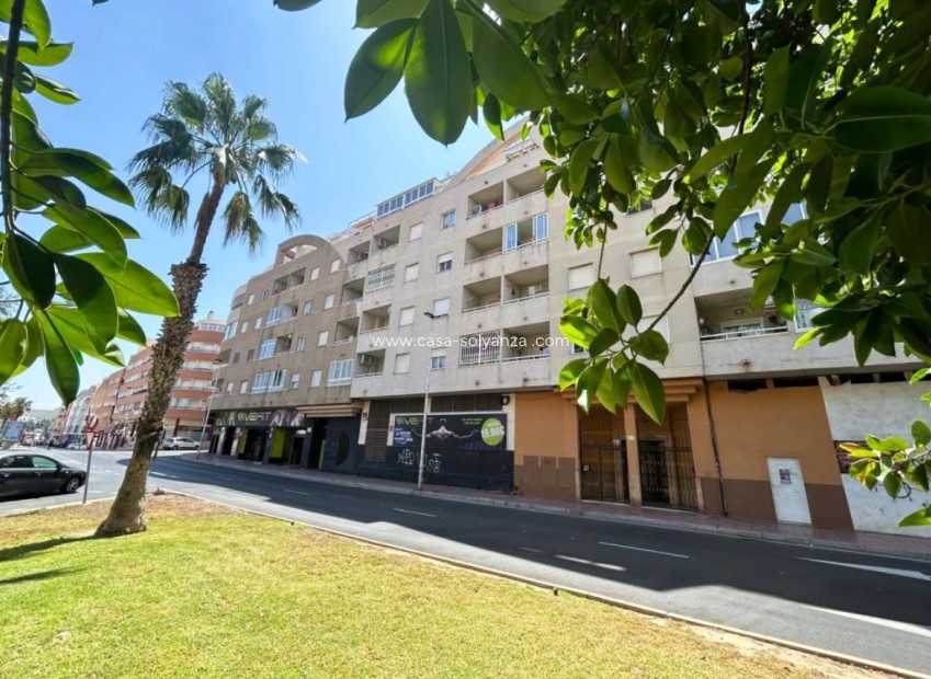 Wiederverkauf - Wohnung - Torrevieja - Costa Blanca