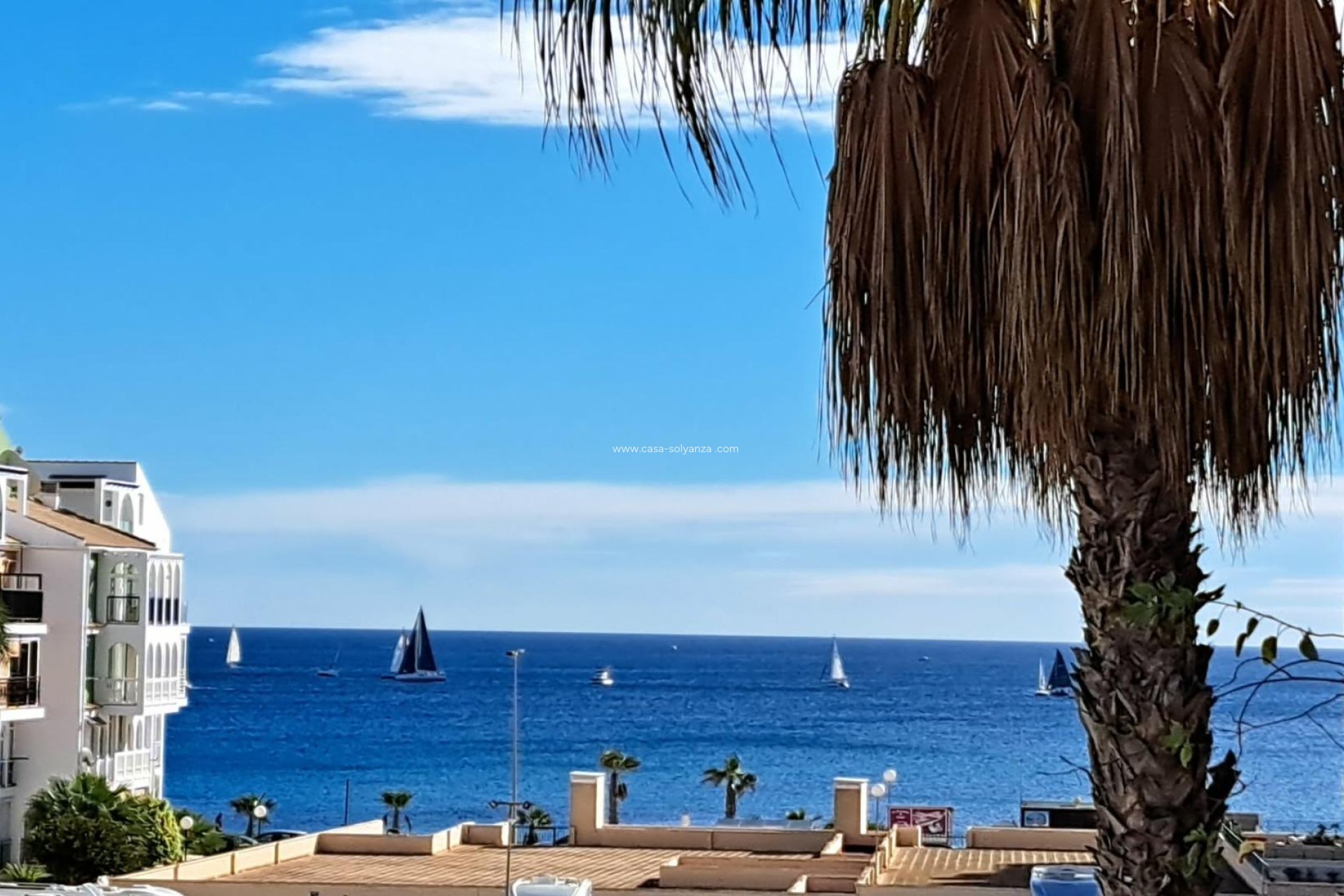 Wiederverkauf - Wohnung - Torrevieja - Costa Blanca